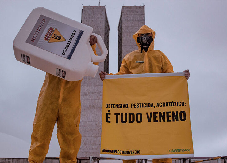 Foto: Greenpeace
