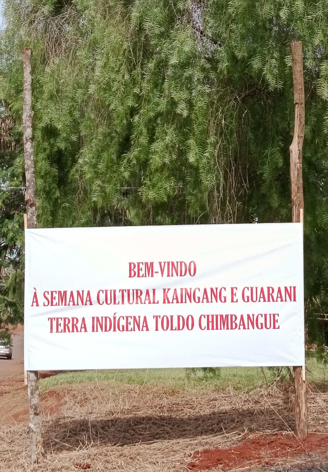 297aa4ec 2204 472f 9b7d a96f11778739