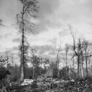 mariobe storm damage 595375