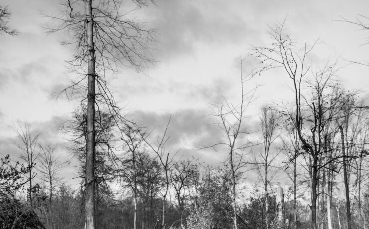 mariobe storm damage 595375