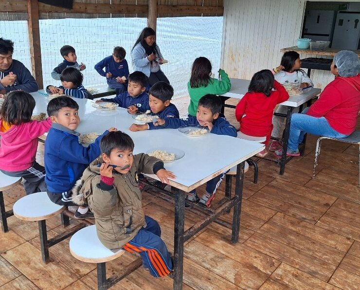 Reconhecimento à luta pela educação escolar indígena, abraçada pela Defensoria Pública do Estado do Rio Grande do Sul 21 348e68e2 2868 4c6f 9cd2 701cfb35de5b