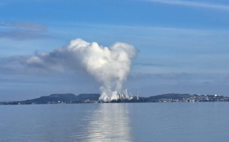 CMPC e as contradições de seu “Projeto Natureza”: o vapor das caldeiras revela a face invisível do modelo industrial 4 09275678 d128 4c26 b915 99482c1829c6