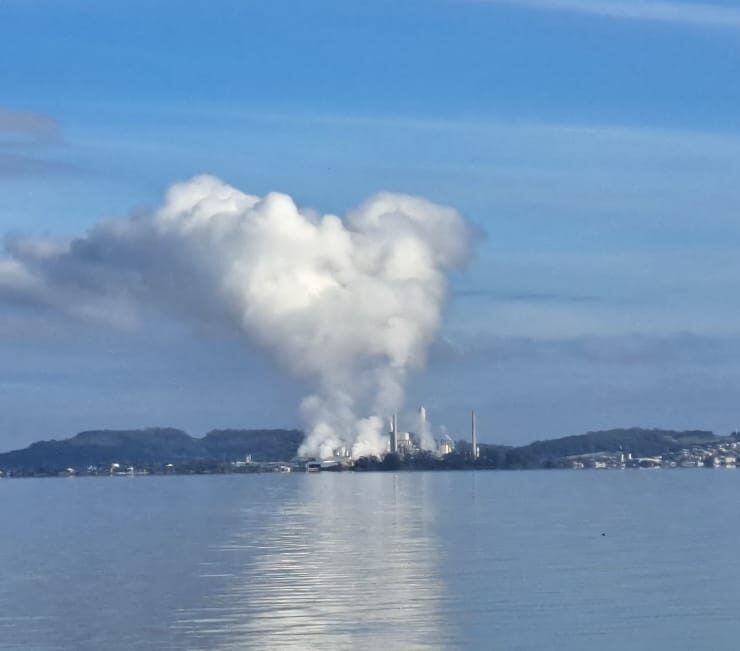 CMPC e as contradições de seu “Projeto Natureza”: o vapor das caldeiras revela a face invisível do modelo industrial 20 09275678 d128 4c26 b915 99482c1829c6