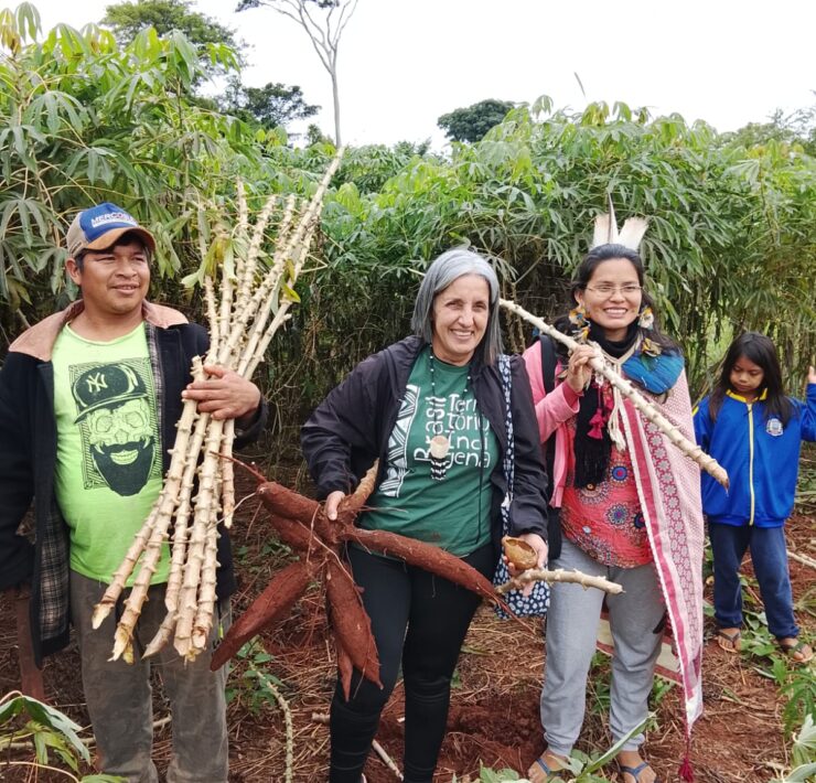 Sob a Sombra da Monocultura, Povos Avá-Guarani Resistem Através da Agroecologia no Paraná 21 7ac707a6 5df4 4233 a660 0a122fa03578 1