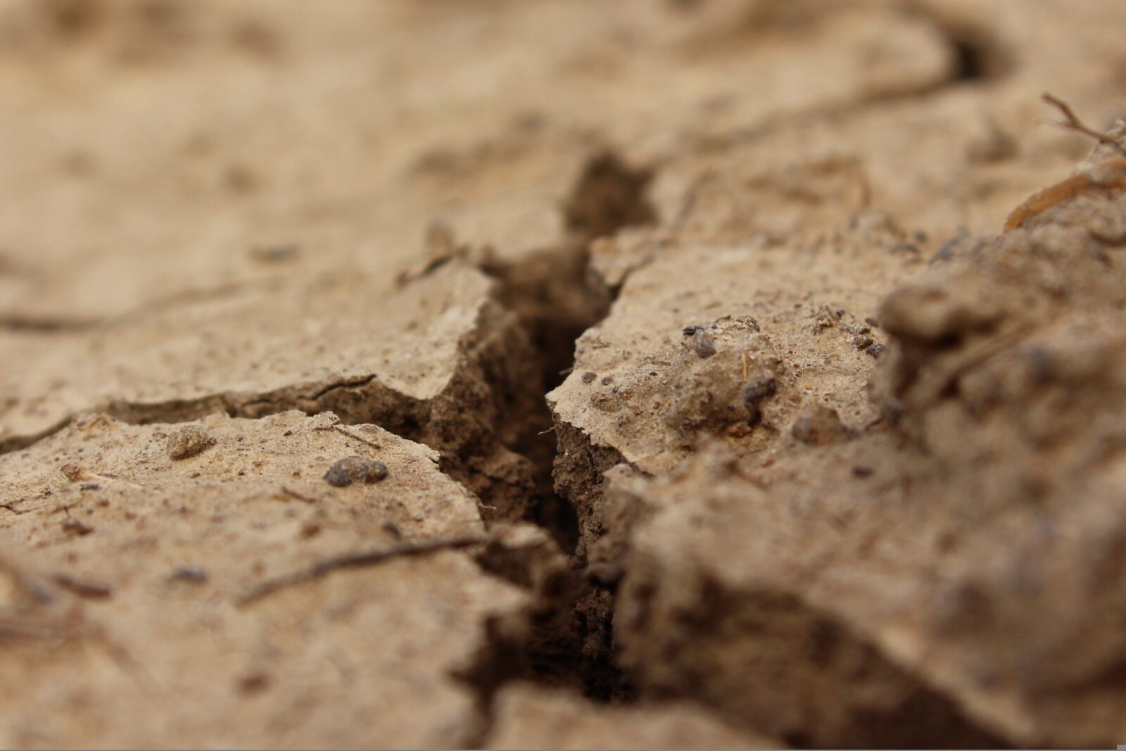 klimkin crack 995370