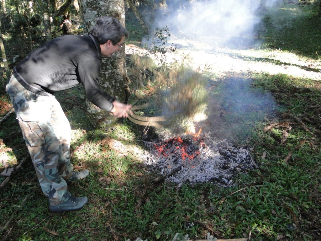 Calmon, a Fênix do Contestado: o voto de resistência na Terra Mutilada pelo Esquecimento Catarinense e Brasileiro 8 WhatsApp Image 2026 10 07 at 22.12.58