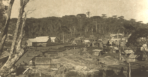 Calmon, a Fênix do Contestado: o voto de resistência na Terra Mutilada pelo Esquecimento Catarinense e Brasileiro 5 calmon sc.jpg
